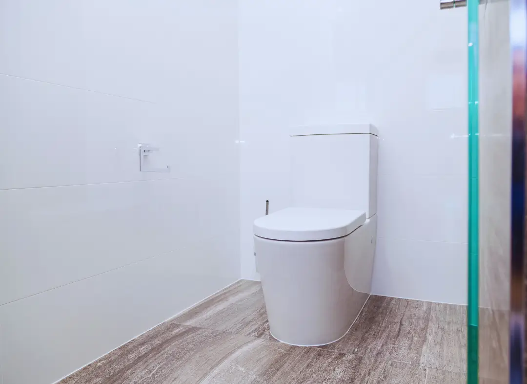 Remplacement de wc Saint-Maur